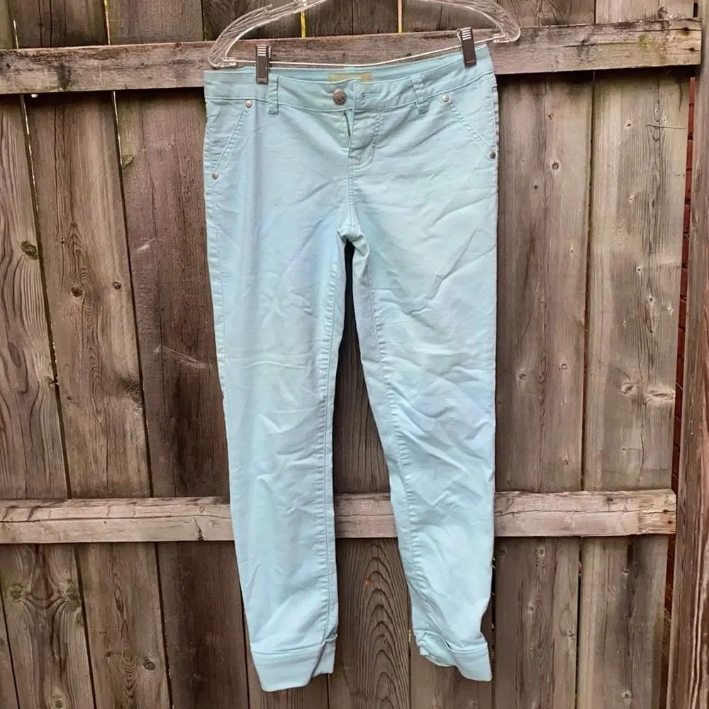 Blue Spice Skinny pants sz. 9